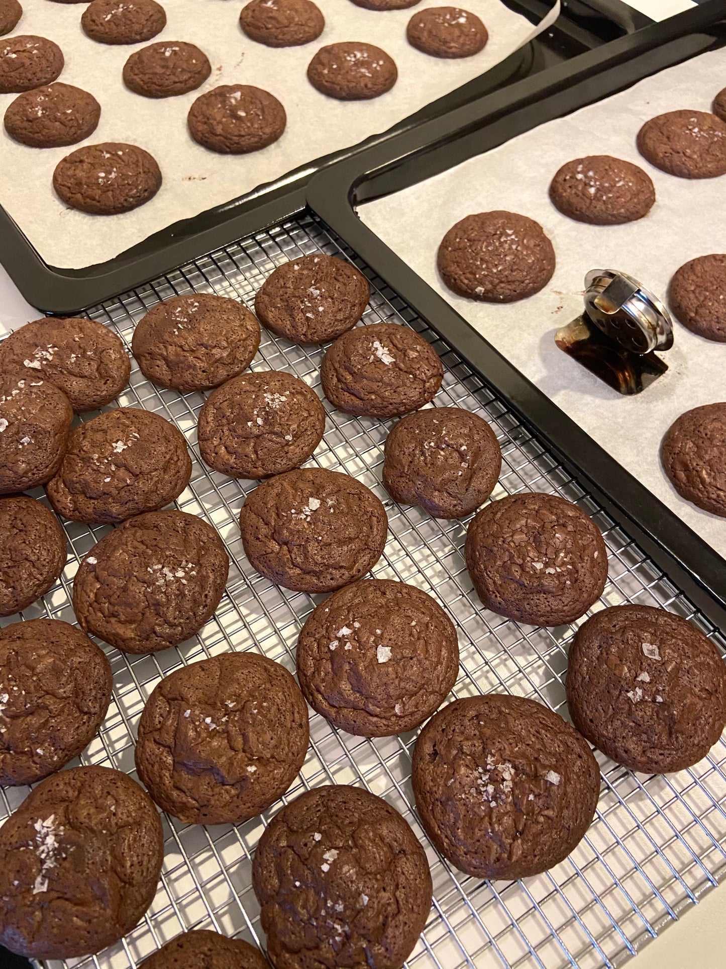 Salted Brownie Cookies